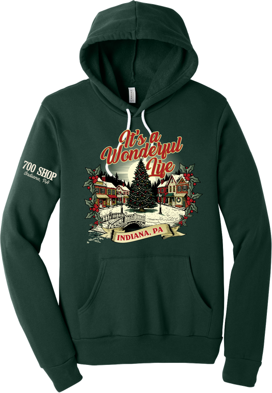 2025 Wonderful Life Hoody