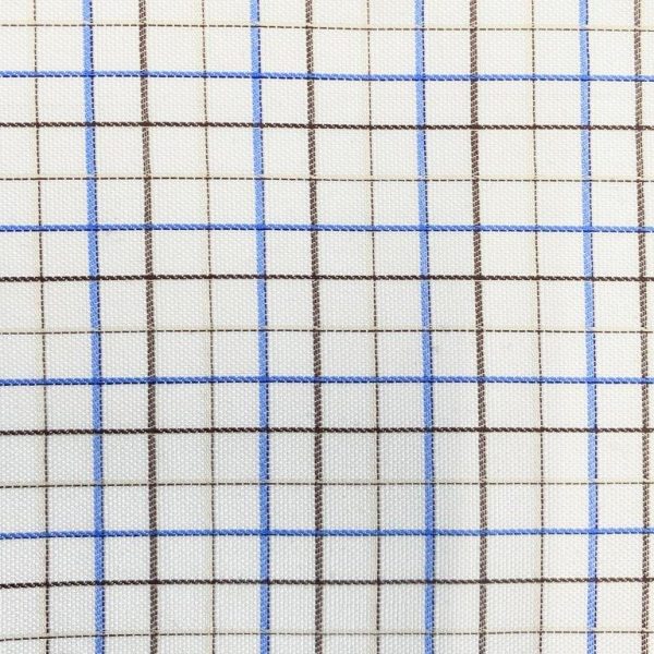 Oxford Mini Check